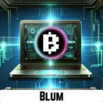 Blum Daily Video Codes