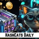 HashCats Daily Combo cards Cipher Staking